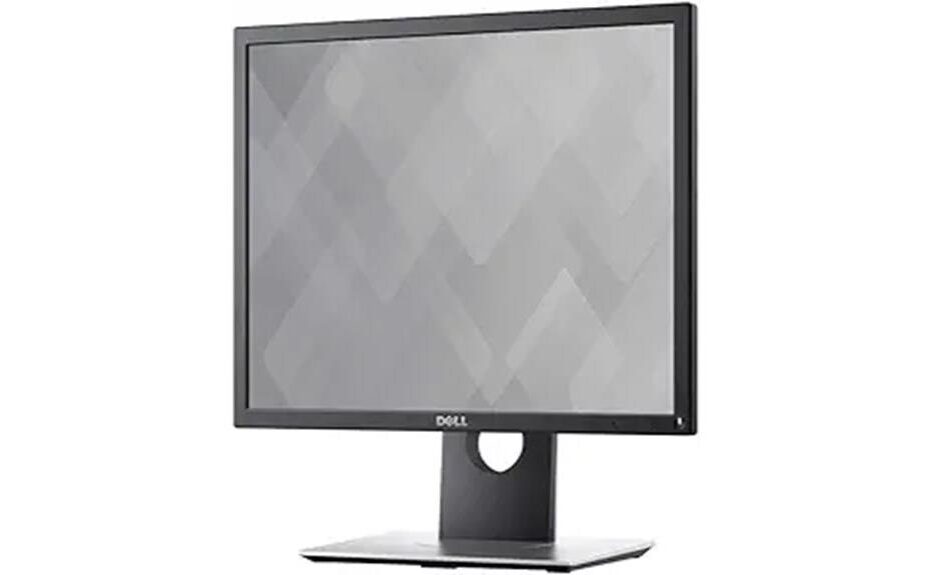 dell p1917s monitor evaluation