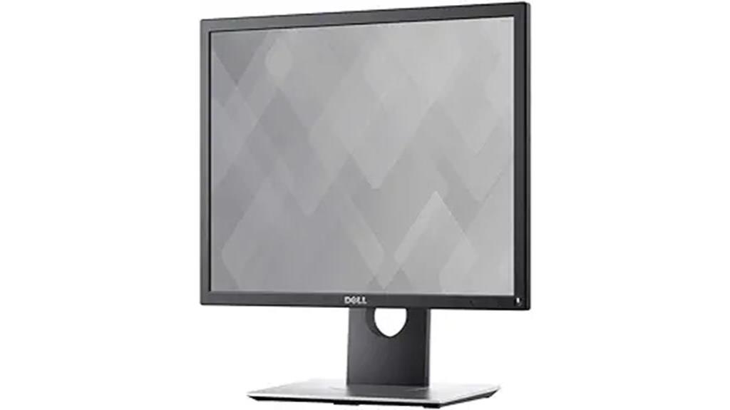 dell p1917s monitor evaluation