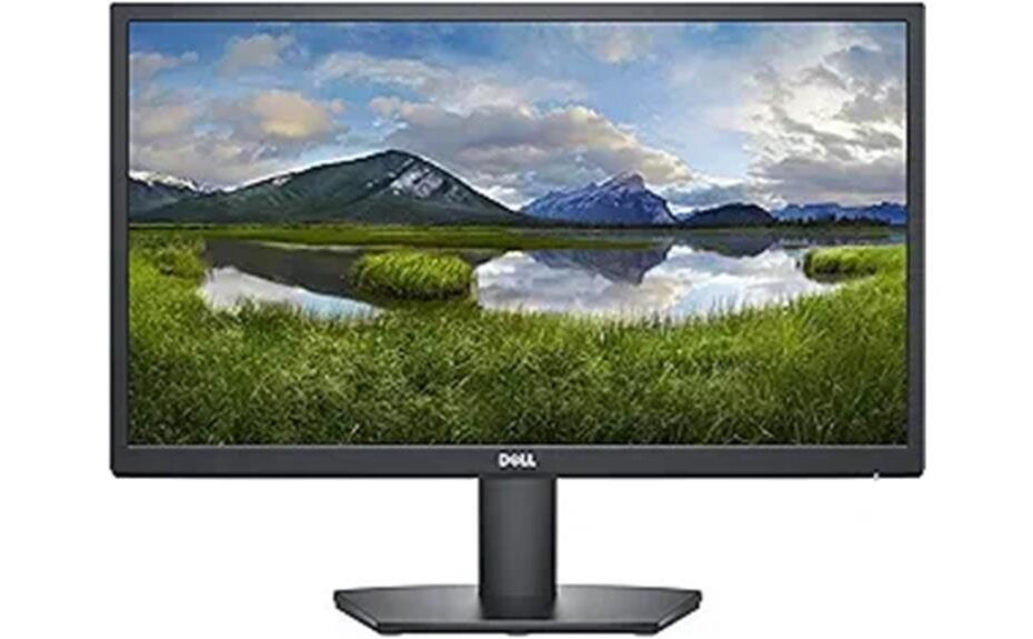 detailed review of dell monitor
