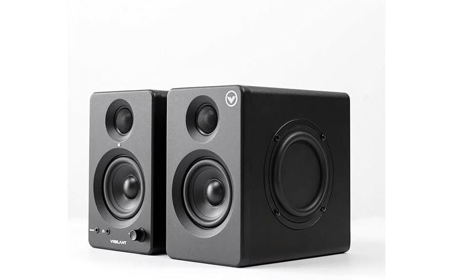 detailed speaker review analysis