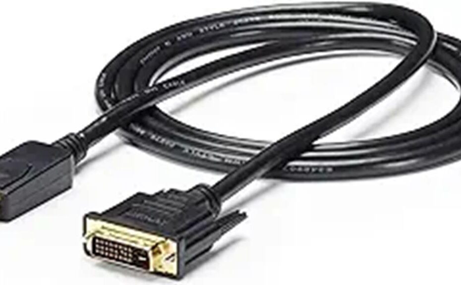 displayport to dvi review