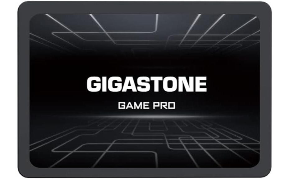 high speed gigastone sata ssd