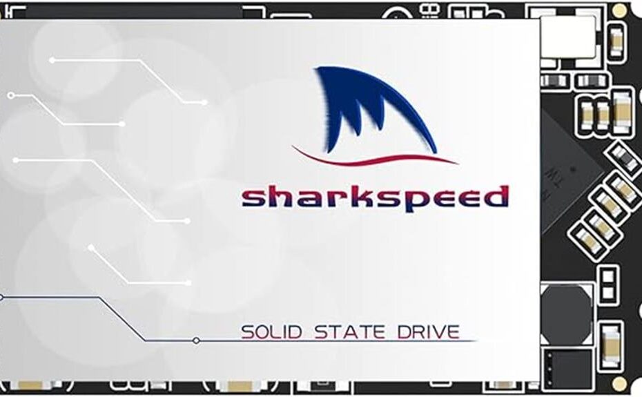 ngff 256gb m 2 ssd