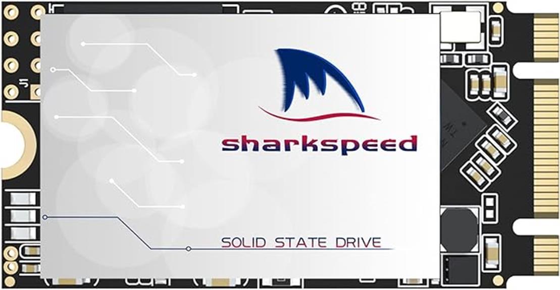 ngff 256gb m 2 ssd