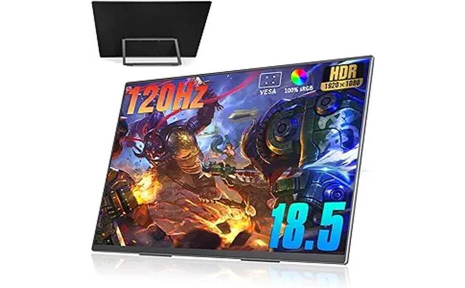 review of portable monitor